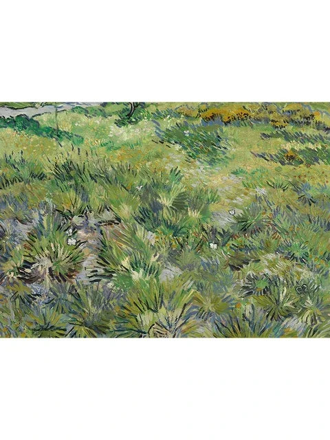 An unframed Van Gogh canvas print depicting a grassy field with varied green and yellow tones.