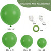A set of green latex balloons in various sizes including 18in x 4, 12in x 35, 10in x 30, and 5in x 60, along with accessories
