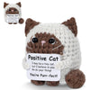 A hand-woven plush cat pendant with a card that says Positive Cat I may be a tiny cat but I believe in you Go do your thing Y