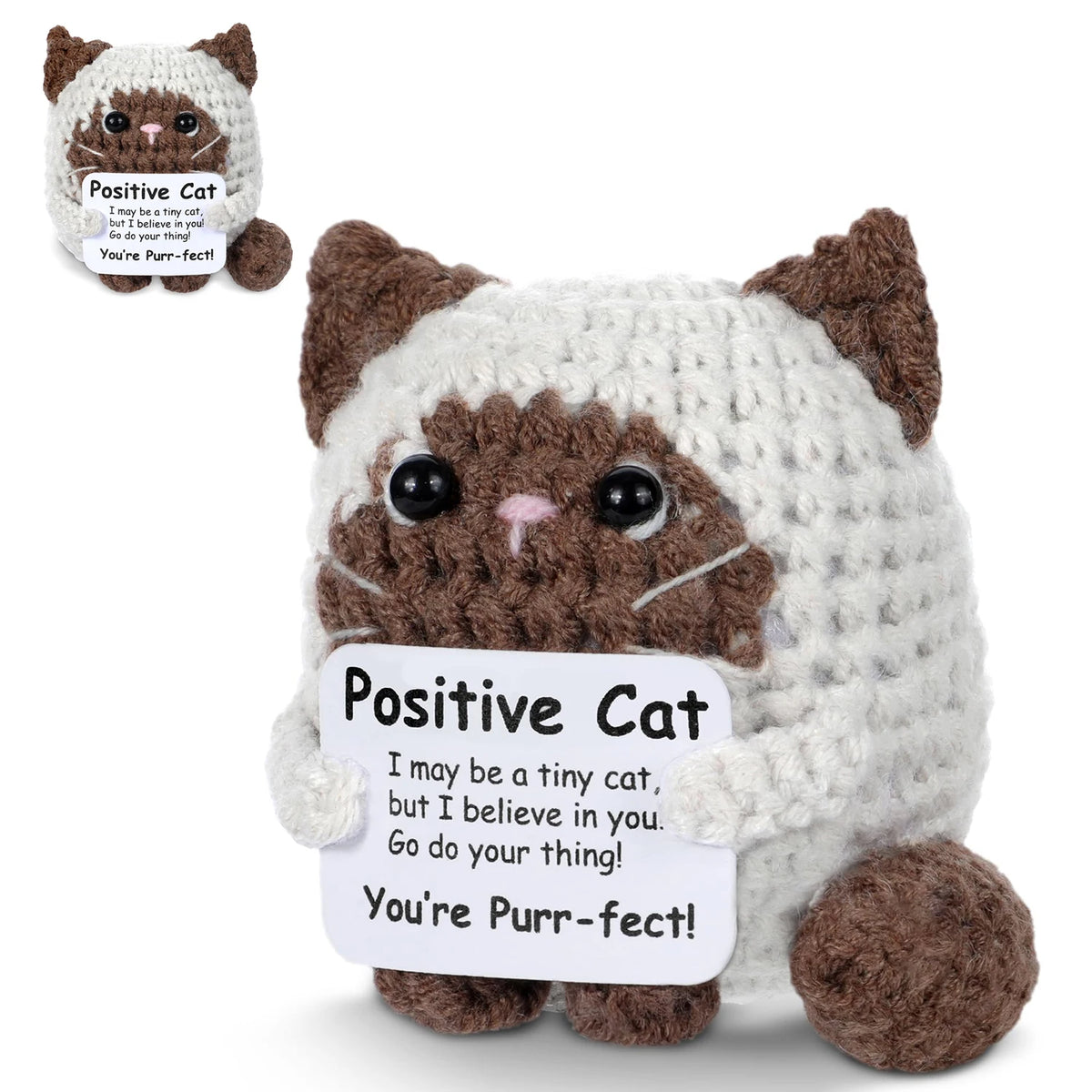 A hand-woven plush cat pendant with a card that says Positive Cat I may be a tiny cat but I believe in you Go do your thing Y