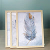 A set of three light wood picture frames with acrylic fronts displaying a watercolor feather painting.
