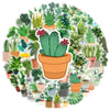 A circular arrangement of various potted succulents and cacti.