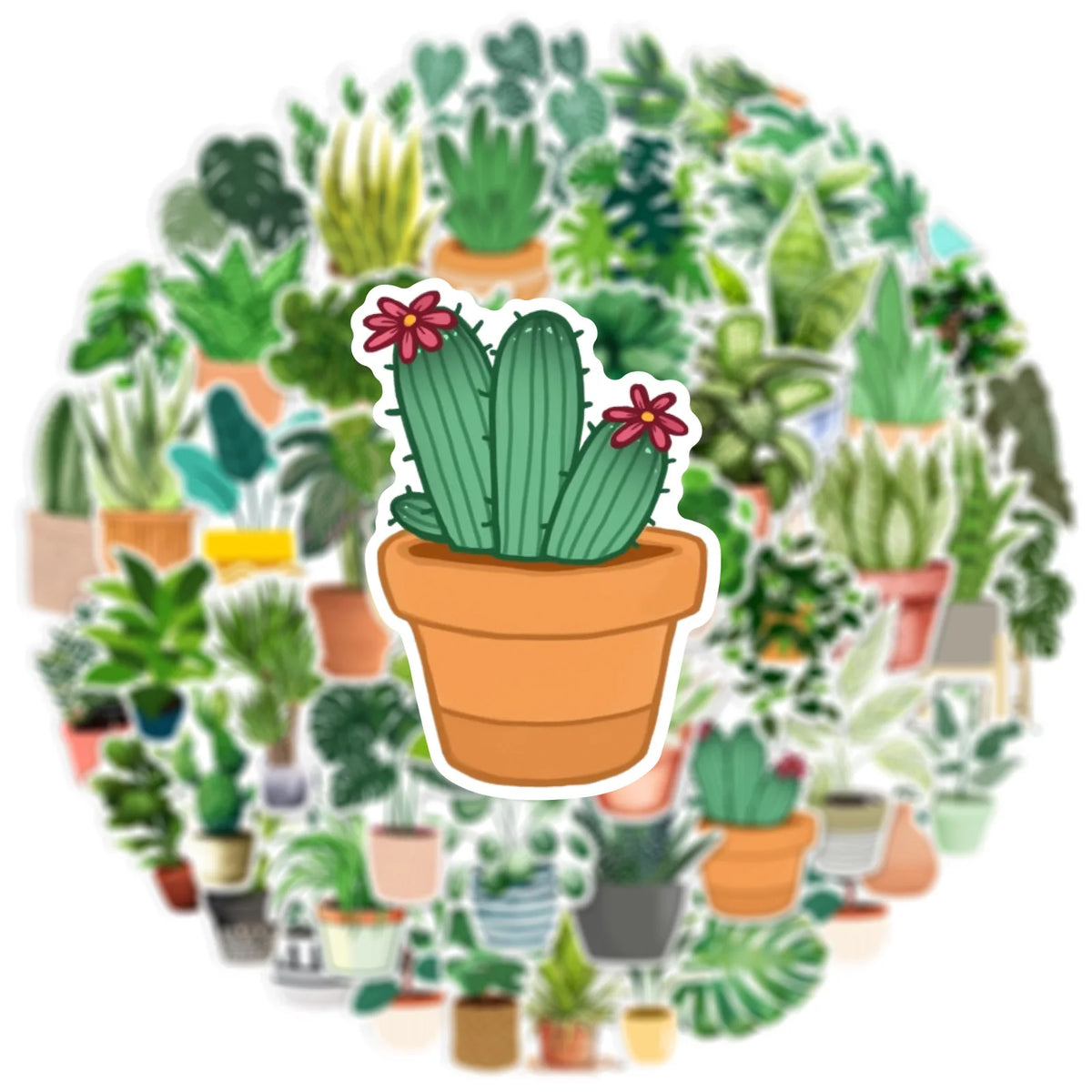 A circular arrangement of various potted succulents and cacti.