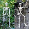 A white poseable human skeleton decoration with movable bones displayed against a stone wall in a garden setting.