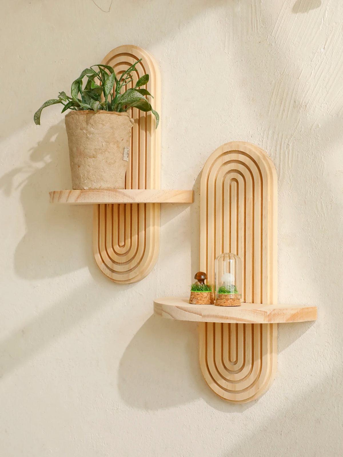 Geometric wooden wall shelves displaying a potted plant and a glass terrarium.
