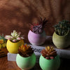 A collection of silicone arc candle jars in various shades of pink, yellow, and green resting on a wooden surface.