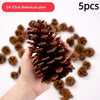 Five natural dried American pine cones are shown being held, with many scattered around.