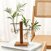 Pots en verre et bois modernes contenant du feuillage vert, exposés sur un bureau.