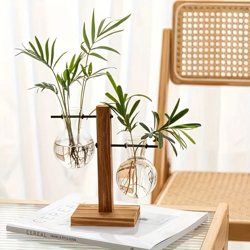 Pots en verre et bois modernes contenant du feuillage vert, exposés sur un bureau.