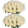 A bouquet of 50 artificial silk cream colored roses.