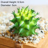 Artificial Succulent Bonsai for Desk & Home Decor