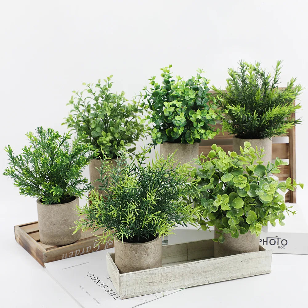 A collection of vibrant green eucalyptus potted plants in rustic neutral pots displayed on a wooden tray.