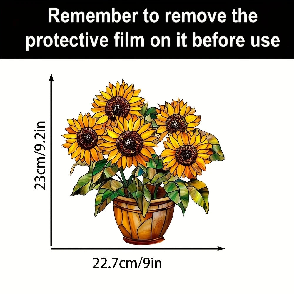 A potted sunflower plant with a protective film on the leaves, shown against a white background.