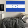 A blue and white flag featuring three stars on a dark blue field displayed on a wall.