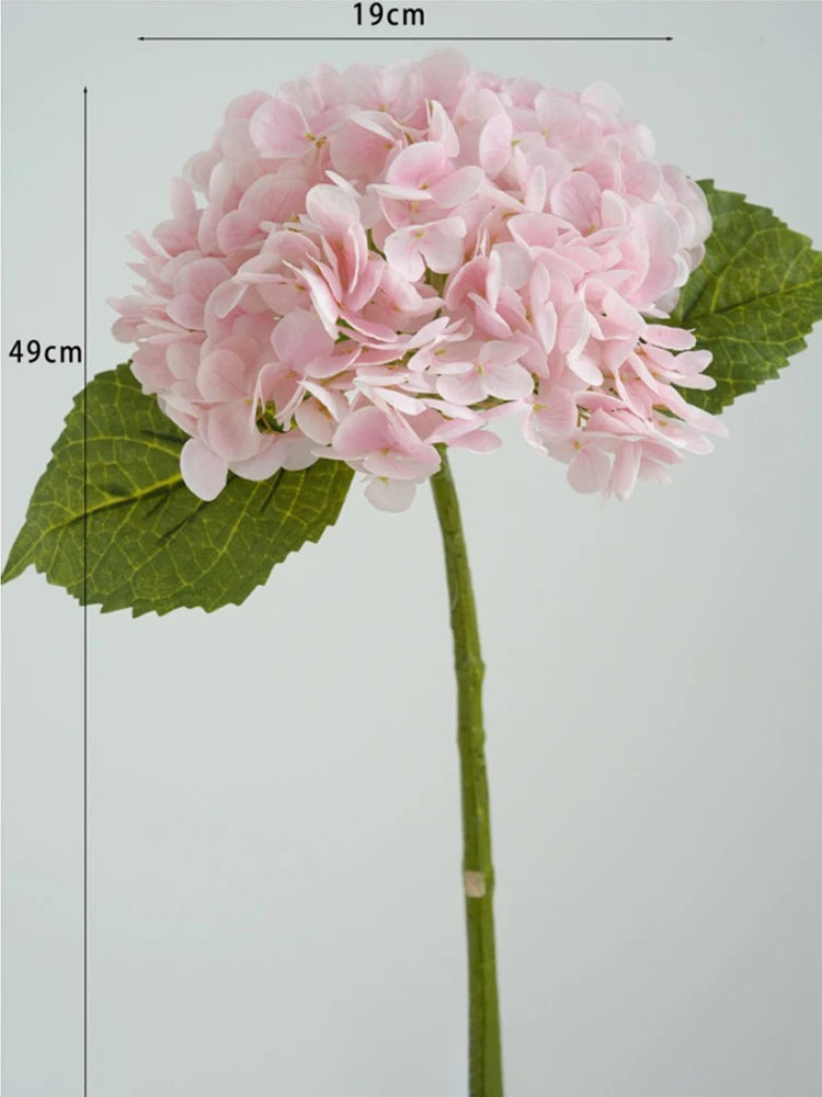 Pink hydrangea flower cluster on a green leaf with measurement lines.