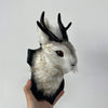 A decorative bunny head made of fur and antlers is held up against a white background.