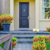 A front door with a dark blue paneled door and light beige trim, flanked by potted tropical plants.