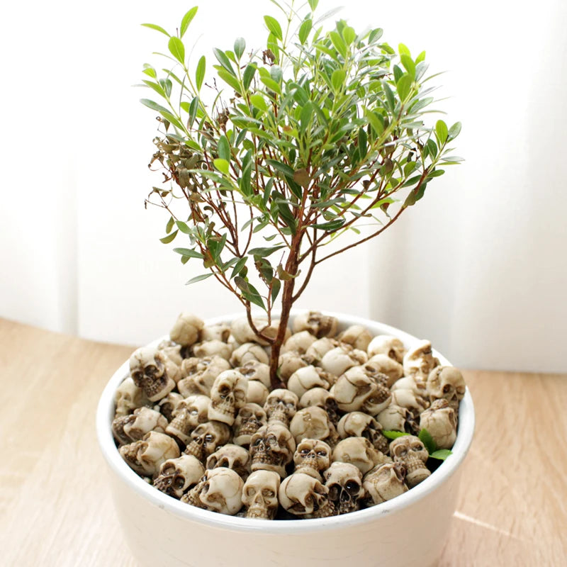 A potted green shrub with small leaves sits atop a bed of realistic resin mini skulls for garden decor.