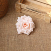 A delicate pink rose flower rests on burlap next to a wooden box labeled WOODEN BOX.