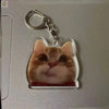 A clear acrylic keychain featuring a cute, smiling orange tabby cat face.