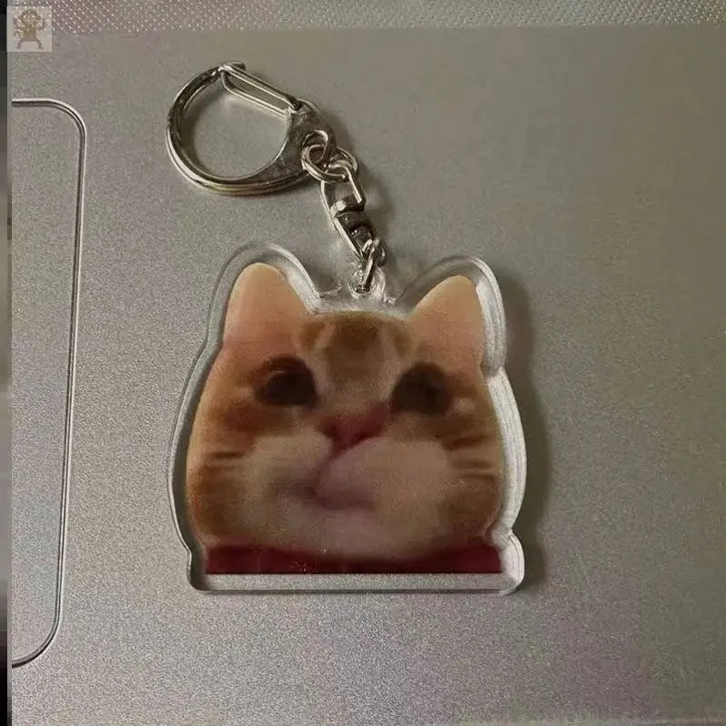 A clear acrylic keychain featuring a cute, smiling orange tabby cat face.