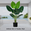 Artificial Bird of Paradise plant in a black pot displayed on a table with a tall white planter and realistic moss.