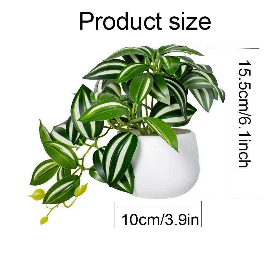 A potted artificial bonsai succulent plant with green and white striped leaves shown next to a size scale.