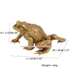 A brass money frog feng shui figurine with a golden color, shown in a side view.