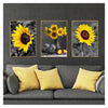 Three framed canvas prints of sunflowers in various shades of yellow and orange displayed on a gray sofa.