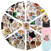A collection of vinyl decals featuring various cats and other animals on a clear background.