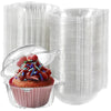 A clear plastic cupcake box with a lid filled with colorful frosting and sprinkles.