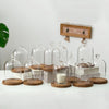 A collection of glass aromatherapy candle holders with wooden bases and dust-proof covers arranged on a white surface.