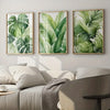 A set of three framed tropical watercolor leaf art prints featuring lush green foliage on a white wall.