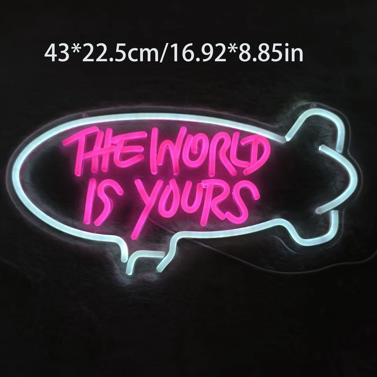 Dimmable LED Neon Sign – The World Is Yours