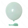 A single light mint green latex balloon is shown next to its valve.