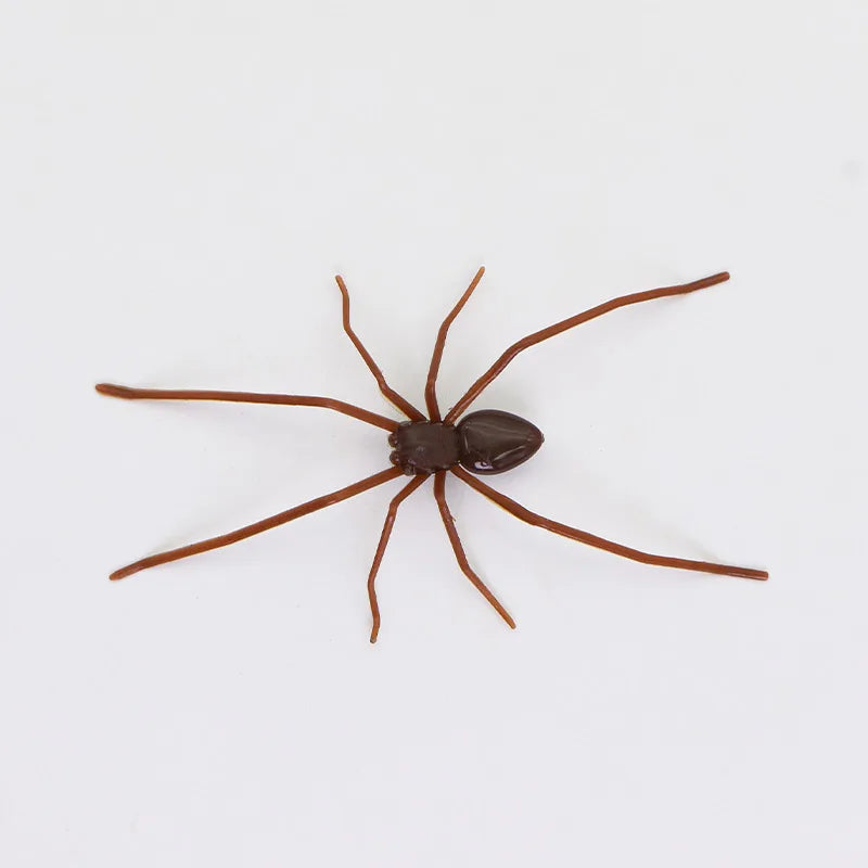 A realistic brown spider with eight legs is shown against a white background.