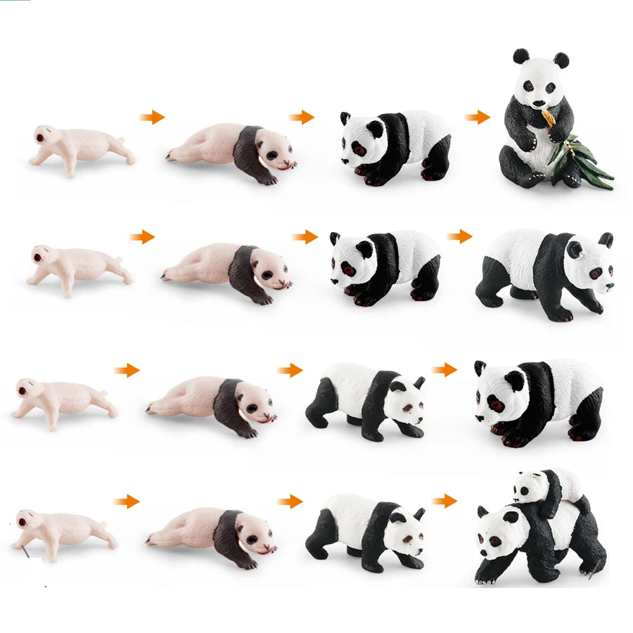 A set of realistic panda figurines showing different life cycle stages and variations in size and color.