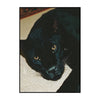 A close-up portrait of a black cat with yellow eyes resting on a light-colored fabric.