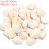 Natural Sea Snail Shell Beads for DIY Jewelry Making