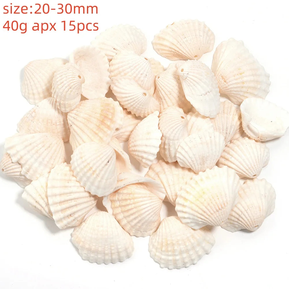 Natural Sea Snail Shell Beads for DIY Jewelry Making