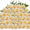 A bouquet of 50 cream colored velvet artificial roses for weddings and home décor.