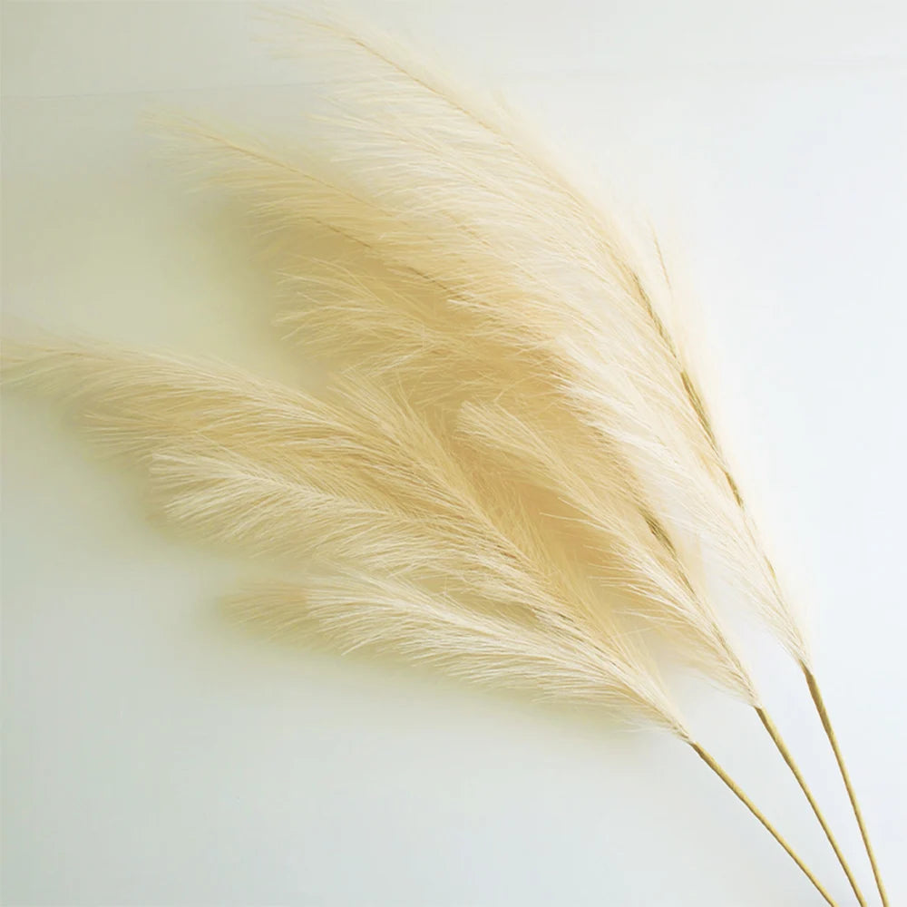 A close-up of dried, light beige pampas grass branches used for boho home and wedding decor.