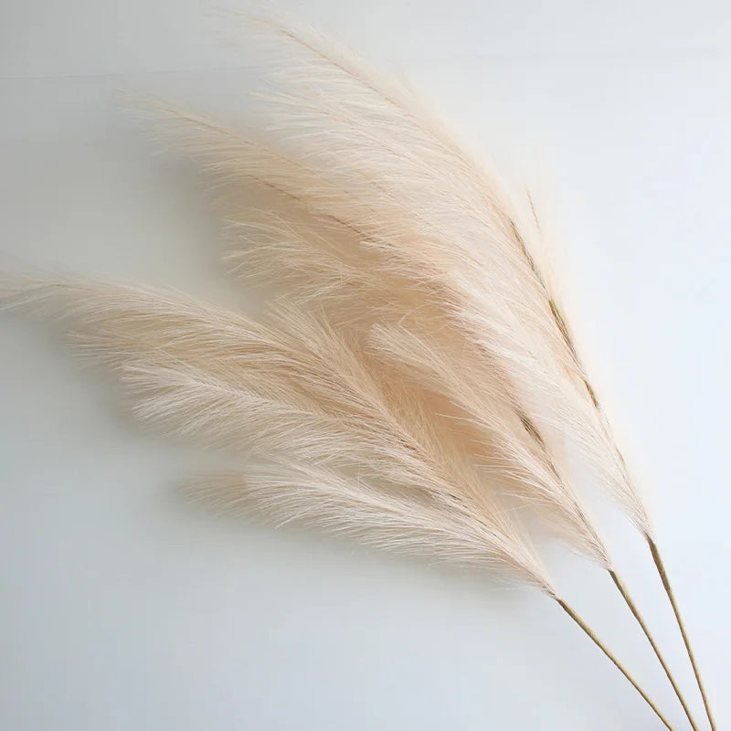 Dried beige pampas grass branches with feathery plumes on a white background