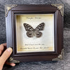 A framed piece of art featuring a black and white butterfly specimen with text that reads Carpe Diem and a quote about the su