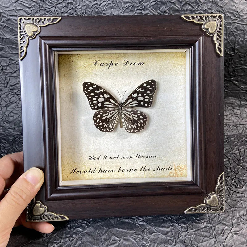 A framed piece of art featuring a black and white butterfly specimen with text that reads Carpe Diem and a quote about the su