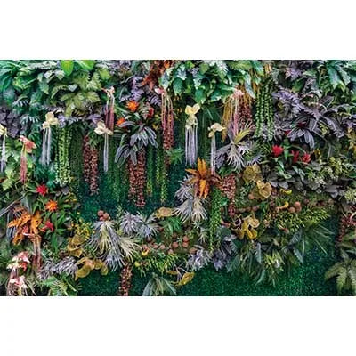 A lush green tropical jungle leaf photography backdrop featuring various foliage and hanging vines.