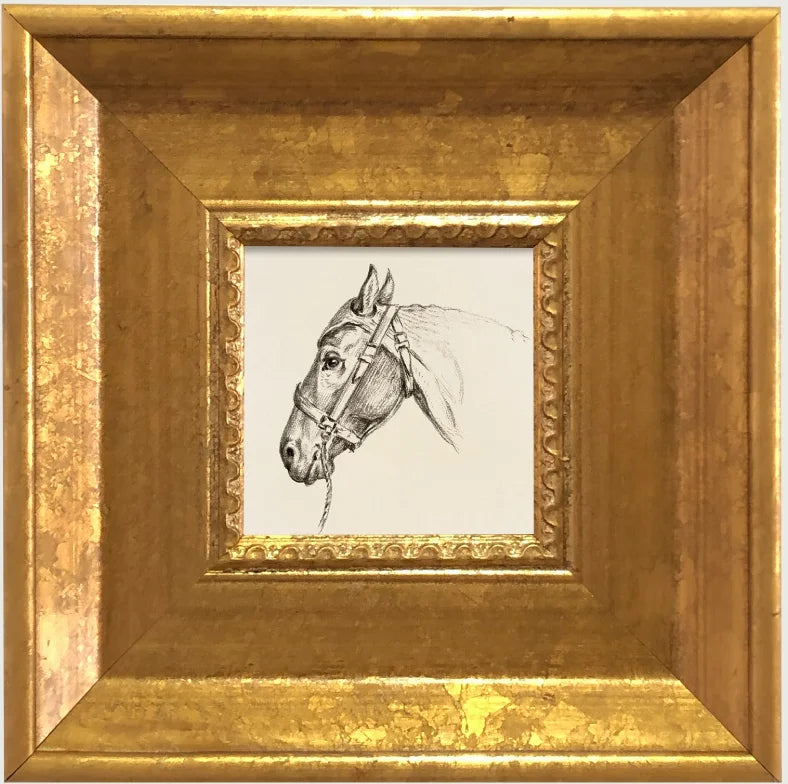 A framed pencil sketch of a horse's head in a gold picture frame.