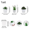 A set of three small green succulent plants in white pots for home decor.