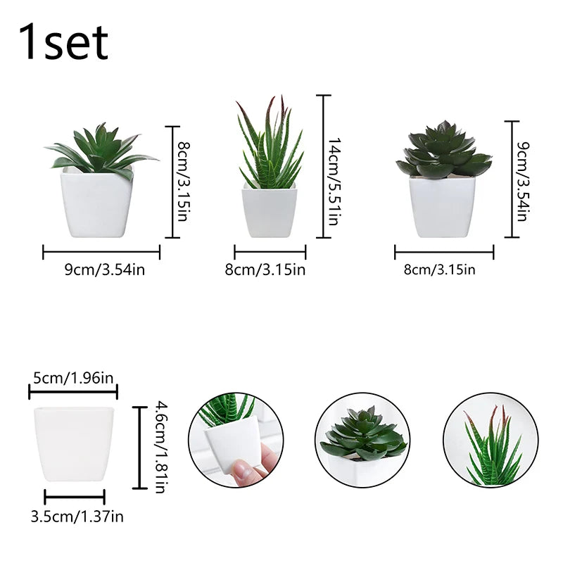 A set of three small green succulent plants in white pots for home decor.
