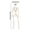 A white movable Halloween skeleton decoration showing the full skeletal structure.